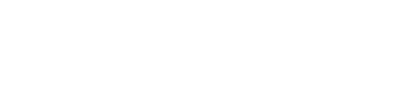 logo spazzacamino roma b